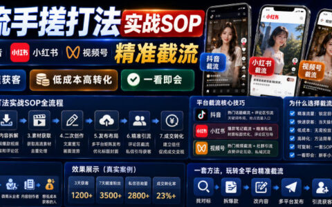 低成本高转化的精准截流实战指南：手搓打法助你玩转抖音、小红书、视频号快速获客