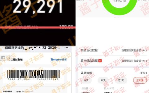 985互联网老兵做了10年副业后发现：2026年真正能稳定变现的项目，其实是这几个（淘宝无人直播/TK拉新/代运营/CSGO）