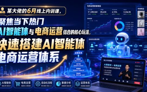 某大佬6月AI内训课：AI智能体如何快速搭建电商运营体系，当前最值得关注的实战玩法