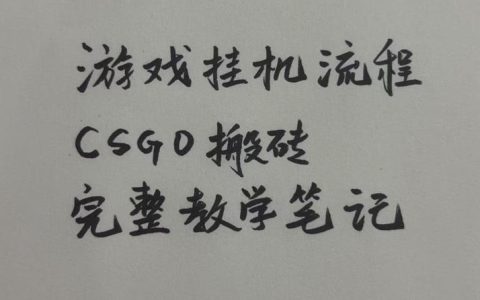 真能当天见收益？CSGO搬砖与挂G全流程笔记实录【揭秘】