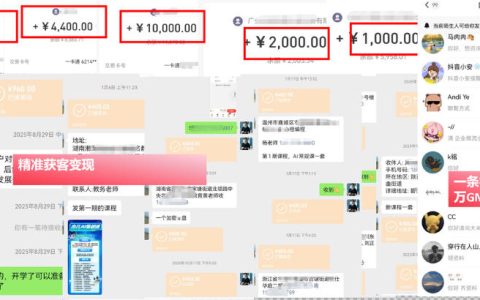 爆款视频训练营：低成本跑通个人IP从0到1涨粉，打通流量到现金的完整闭环（更新）