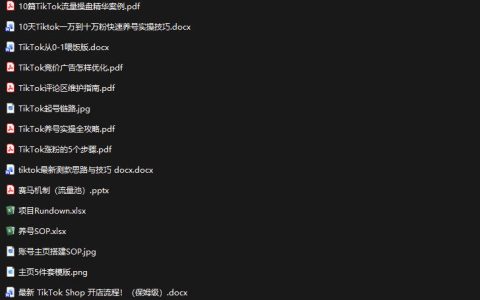 新手如何在30天内用TikTok从0到1起号变现？附养号SOP、爆款公式与投流手册，抓住流量红利