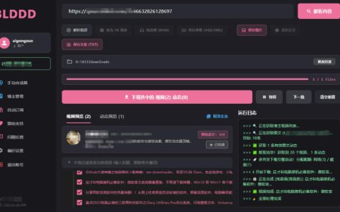 哔哩哔哩最新下载工具BLDDD评测：支持合集、字幕与音频下载，一篇搞懂