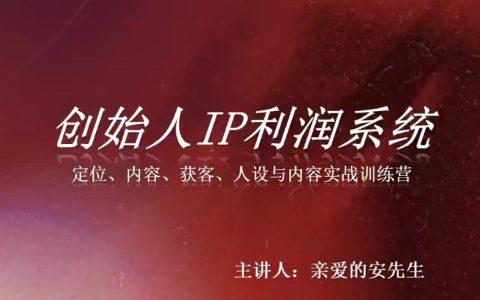 创始人如何用IP打造利润系统？8月训练营：定位、内容、获客、人设全流程实战
