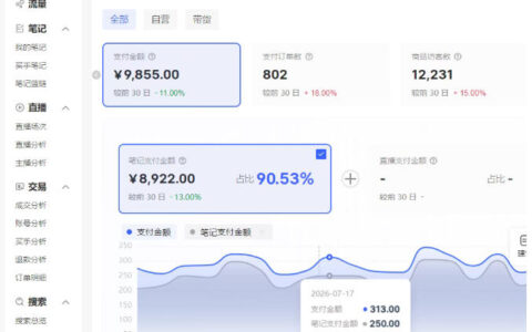 小红书电商矩阵6.0实战拆解：单店4带1、AI矩阵发笔记与测怼双模式，工作室如何放大？