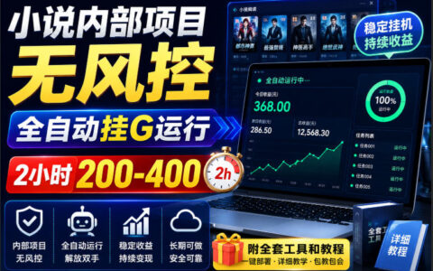 号称无风控的小说内部项目：全自动挂G运行，2小时200-400，附全套工具与教程｜揭秘