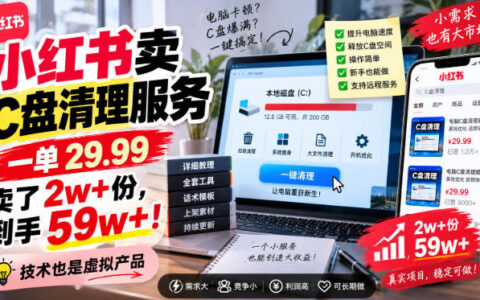 小红书上29.99元C盘清理卖出2万+单：技术服务也能当虚拟产品吗？