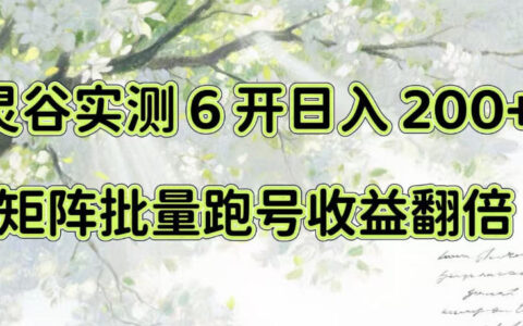亲测灵谷：一台电脑6开日入200+，矩阵批量跑号如何让收益翻倍？