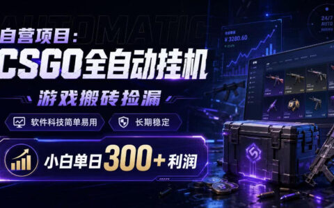 CSGO全自动挂G搬砖捡漏，自营项目宣称软件简单稳定，小白日赚300+？揭秘