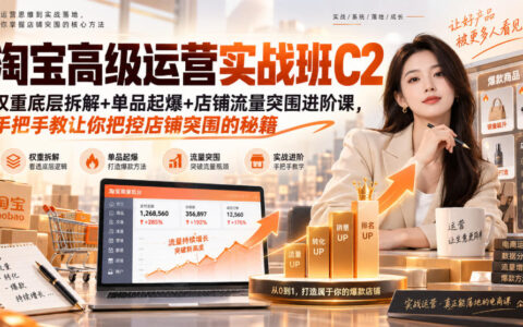 淘宝运营进阶：从权重底层拆解到单品起爆，手把手带你实现店铺流量突围