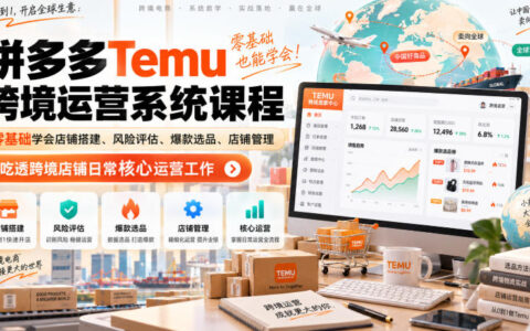 小白如何在Temu做跨境店：店铺搭建、风险评估、爆款选品与日常核心运营全攻略