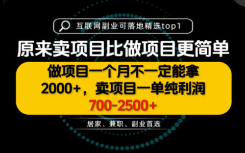 一单净利700-2500+：为什么要卖项目而不是做项目？普通人该如何开始（揭秘）
