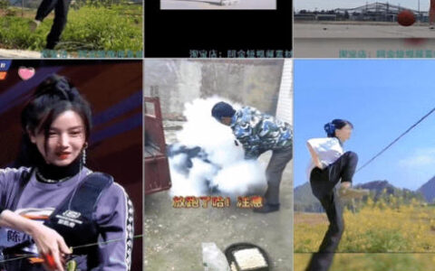 500+款黄金3秒吸睛素材，如何轻松打造抖音/快手爆款视频？（已分类）