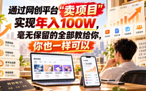 如何通过网创平台“卖项目”做到年入100万？手把手拆解我的完整打法（可复制）