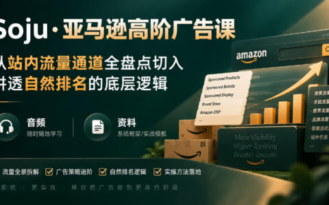 亚马逊广告进阶：站内流量通道全盘点，讲透自然排名底层逻辑（直播+音频+资料）