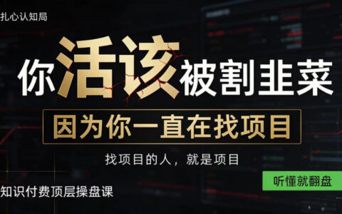 为什么做项目不如卖项目？知识付费顶层操盘法，自己当老板，一听就翻盘