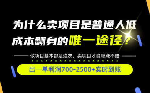 普通人如何通过互联网赚到第一桶金？附全类目实操指南（揭秘）
