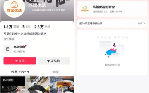 如何在无需实拍的情况下做好抖音车载带货？坚持日更，收益稳稳的